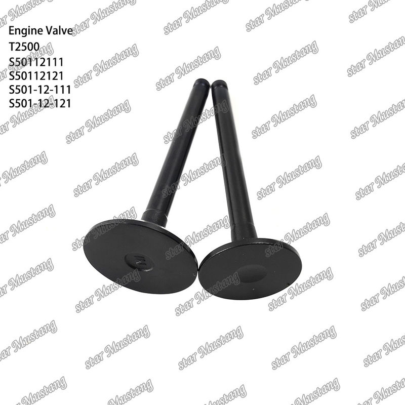 Valvola di struttura integrale originale T2500 S50112111 S50112121 S501-12-111 S501-12-121 Parte del motore