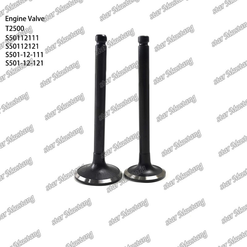 Valvola di struttura integrale originale T2500 S50112111 S50112121 S501-12-111 S501-12-121 Parte del motore