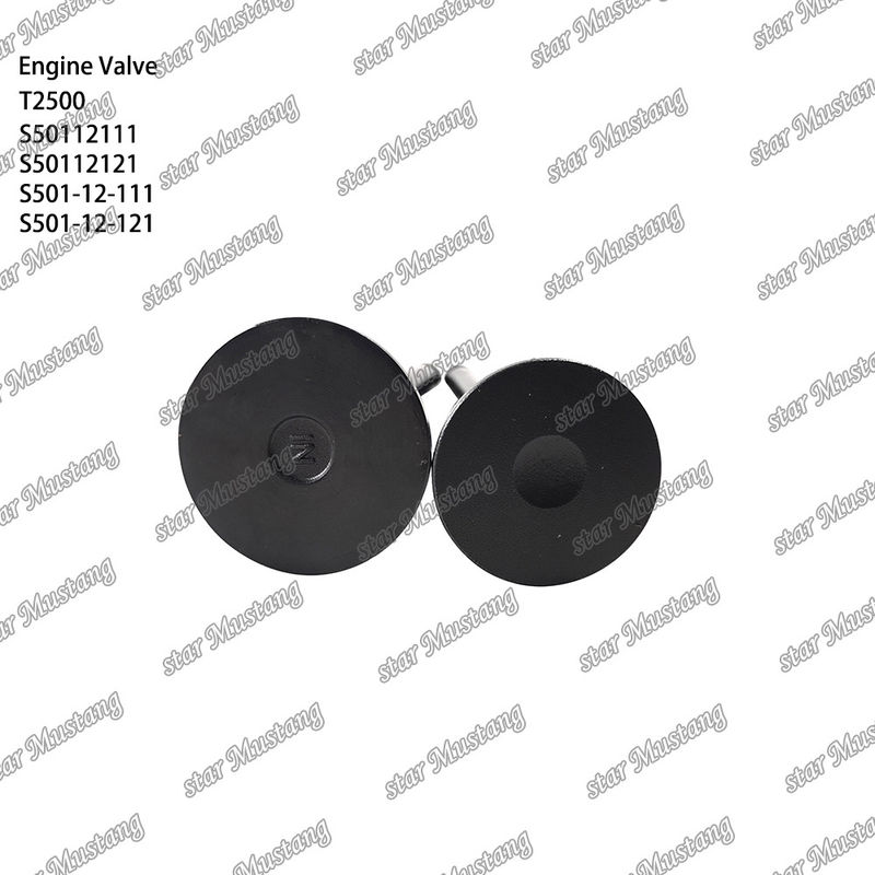 Valvola di struttura integrale originale T2500 S50112111 S50112121 S501-12-111 S501-12-121 Parte del motore