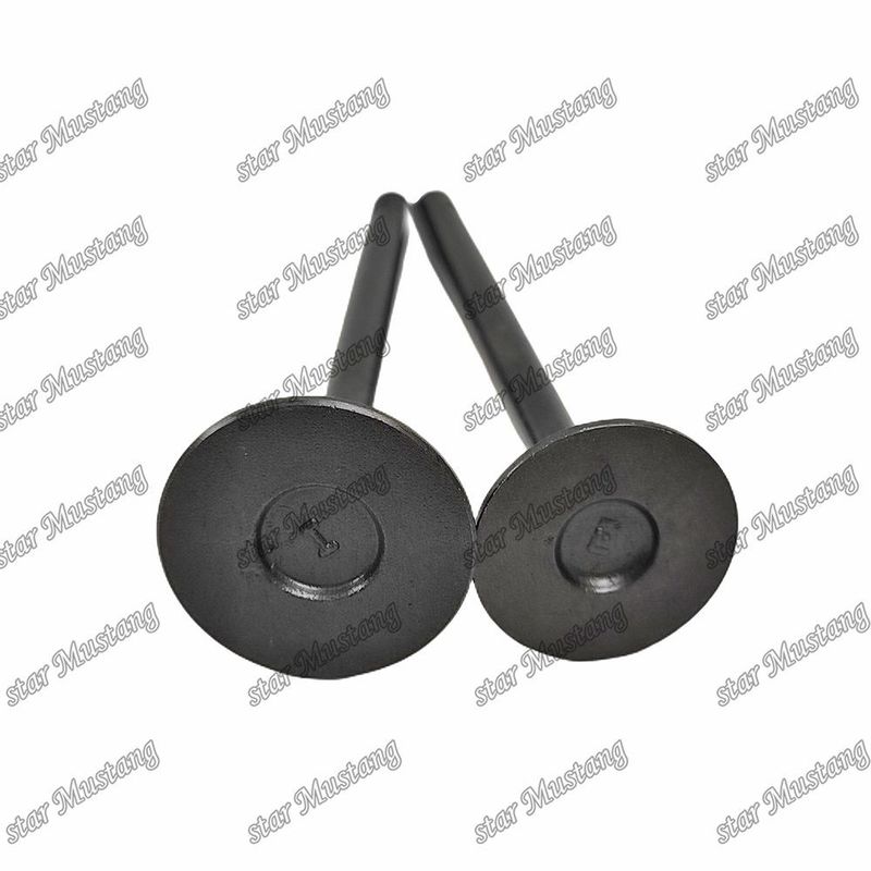 Valvola di struttura integrale V2403 Motore diesel Parte originale in magazzino con supporto online dopo