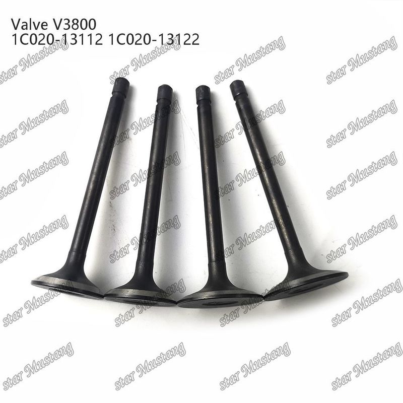 V3800 1C020-13112 1C020-13122 Motore Diesel Parte originale Valvola di struttura integrale con supporto online