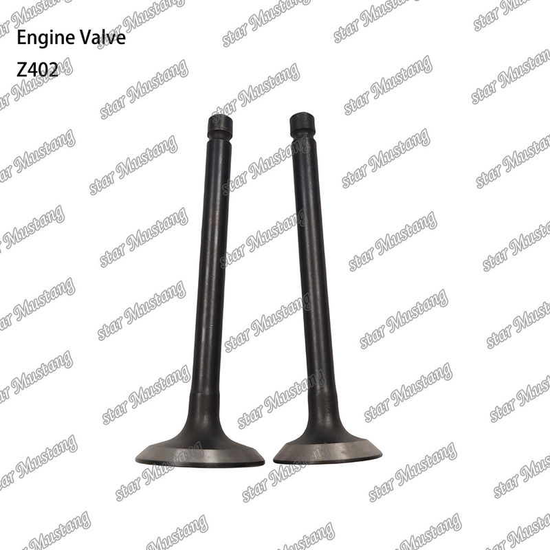 Motore diesel parte Z402 Valvola a struttura integrale Stato del magazzino con supporto online dopo