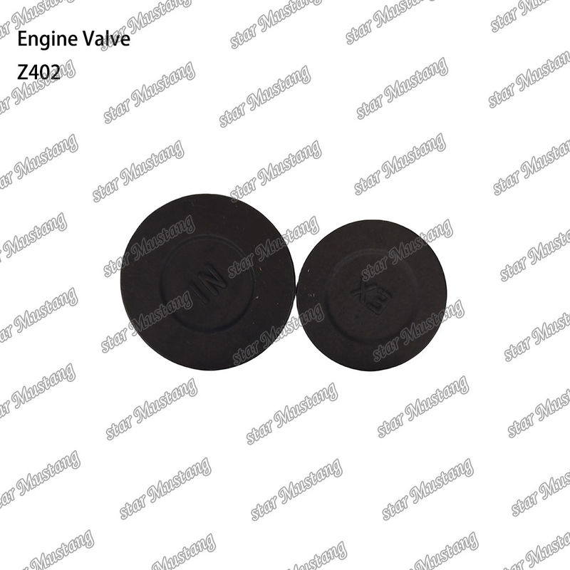 Motore diesel parte Z402 Valvola a struttura integrale Stato del magazzino con supporto online dopo