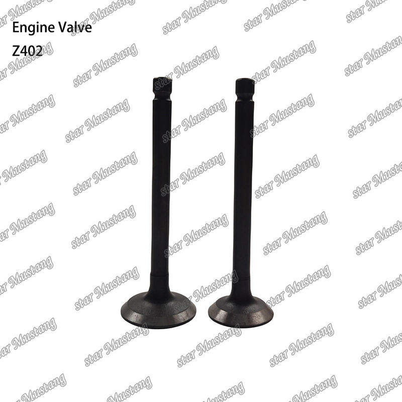 Motore diesel parte Z402 Valvola a struttura integrale Stato del magazzino con supporto online dopo