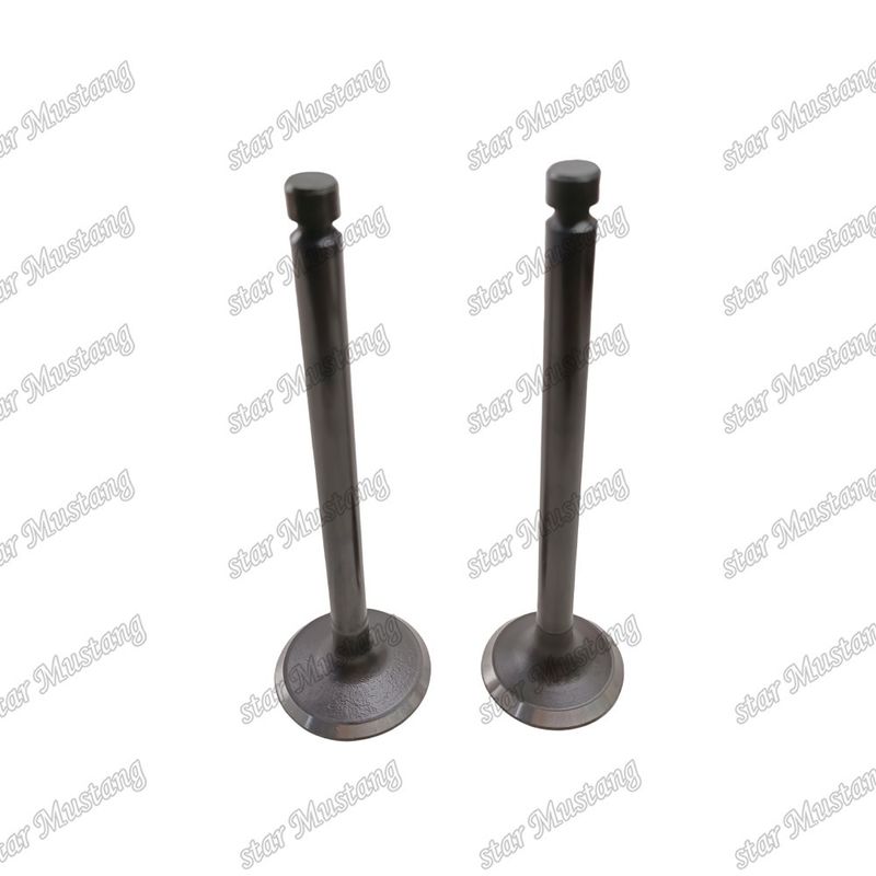Valvola di struttura integrale 6D24 ME051063 ME051064 Motore diesel Parte originale in magazzino con supporto online dopo