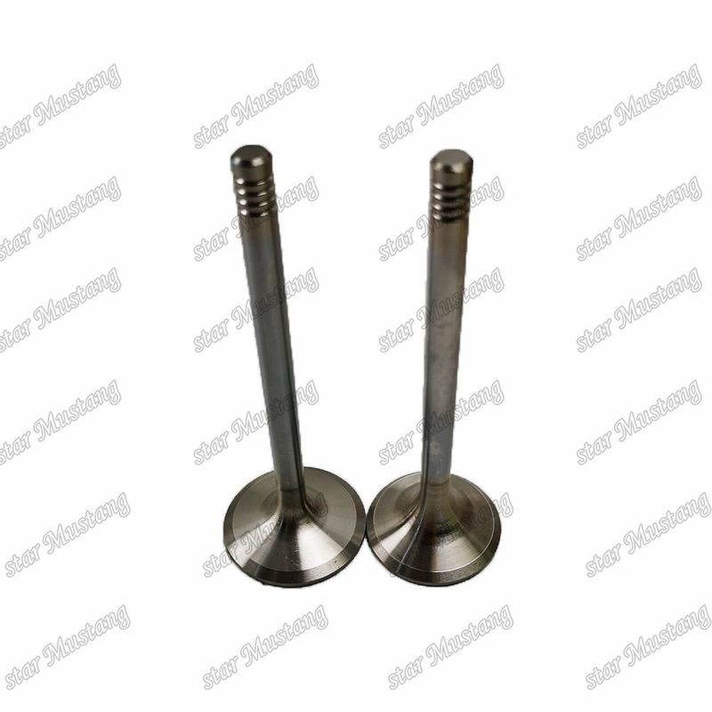 Valvola di struttura integrale D924 9279578 9279579 Motore diesel Parte originale in magazzino con supporto online Dopo