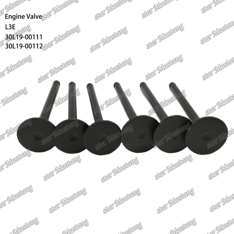 L3E 30L19-00111 30L19-00112 Ricambio Motore Diesel Stock Originale con Supporto Online Dopo