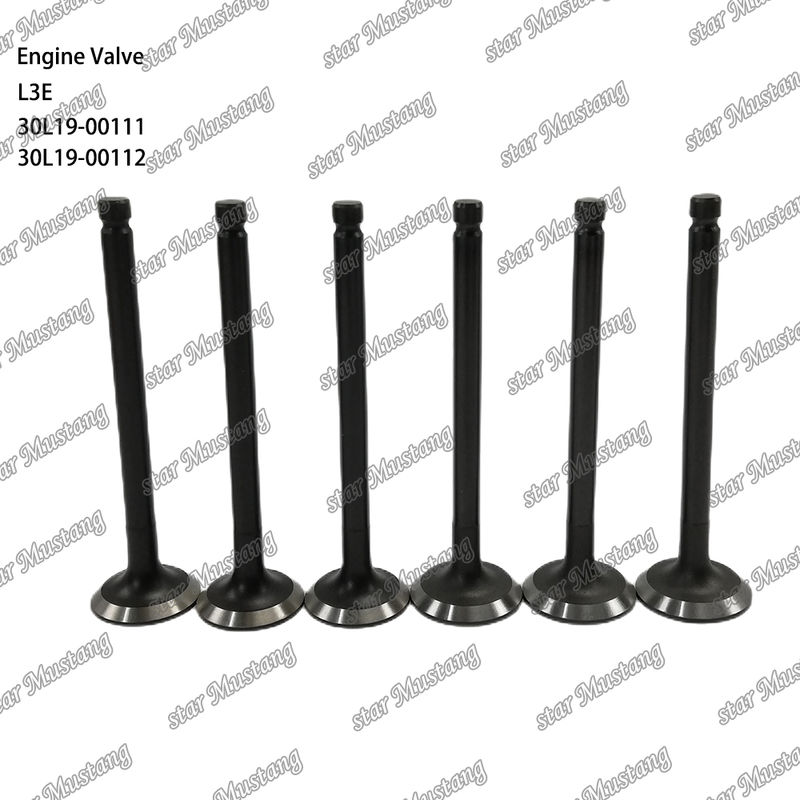 L3E 30L19-00111 30L19-00112 Ricambio Motore Diesel Stock Originale con Supporto Online Dopo