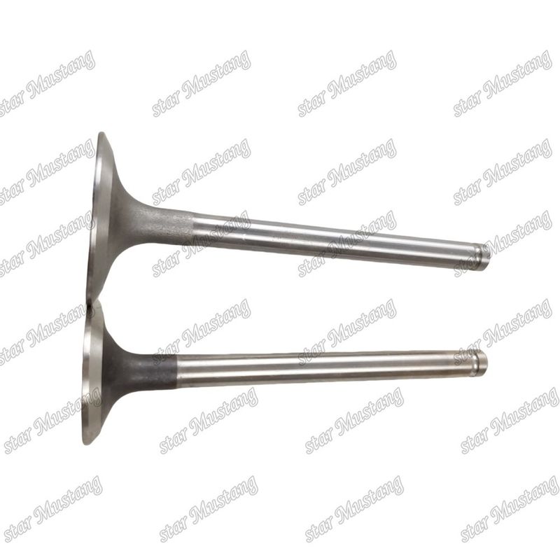 Valvola a struttura integrale 3142L072 3142A151 Ricambio per motore diesel Stock originale con supporto online