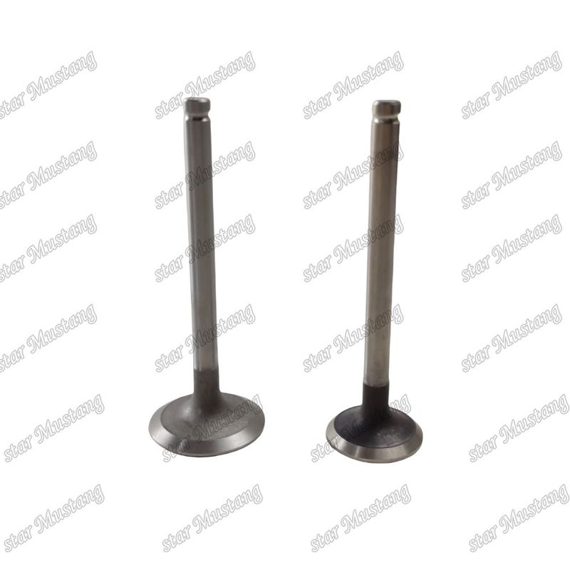 Valvola a struttura integrale 3142L072 3142A151 Ricambio per motore diesel Stock originale con supporto online