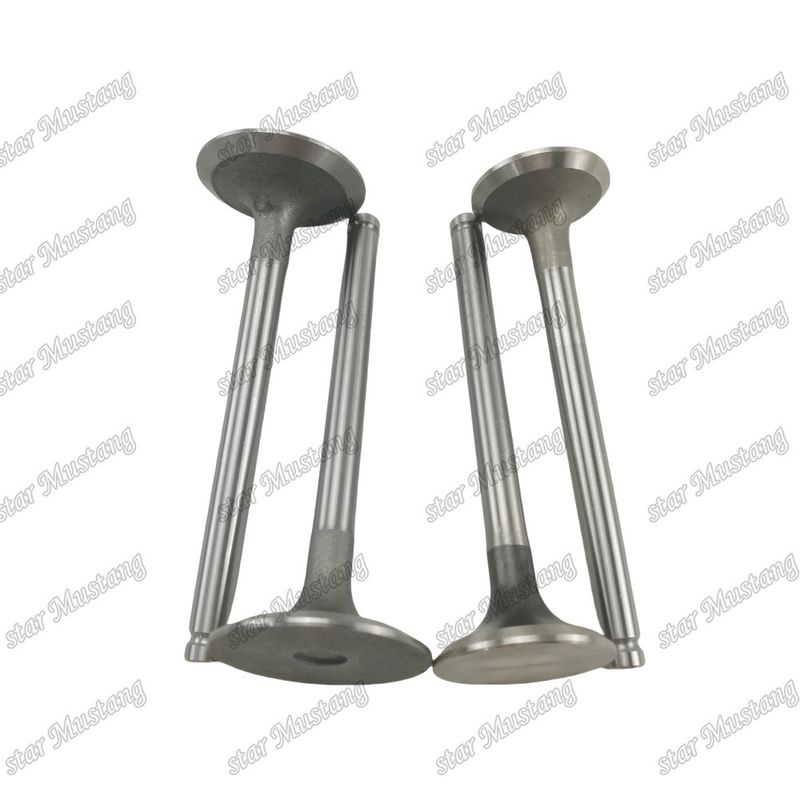 Valvola di struttura integrale 1004 3142L072 3142A051 Motore diesel Parte originale in magazzino con supporto online dopo