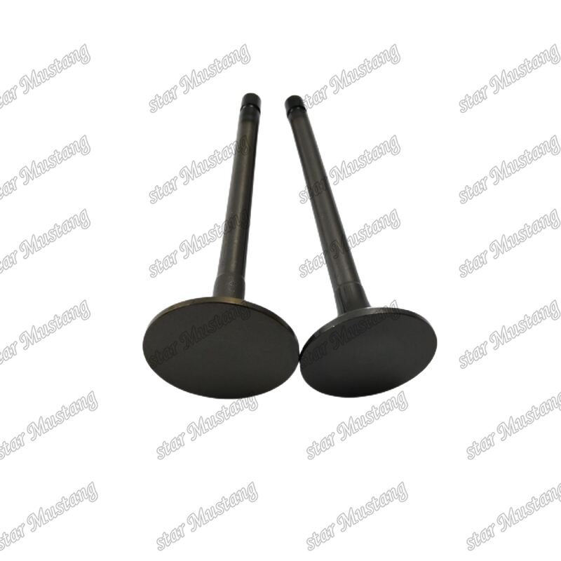 4JJ1 Diesel Engine Valve 8-97309-675-1 8-97309-677-1 for Industrial Applications